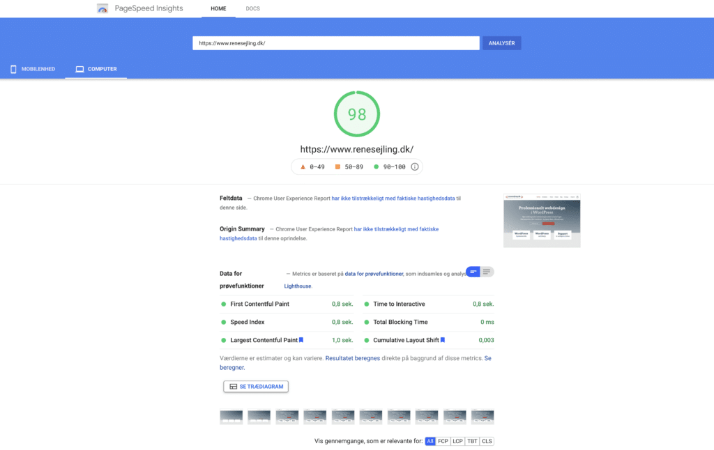 Hurtigere WordPress hjemmeside efter hastighedsoptimering. desktop 98 - renesejling.dk